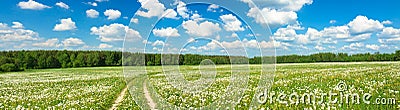 Summer landscape panorama with blossoming field Stock Photo