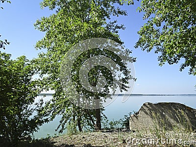 Summer landscape - the shore with trees and stones and the calm expanse Stock Photo