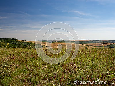Summer landscape in South Moravia, Czehc republic Stock Photo