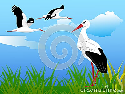 summer landscape with storks Stock Photo