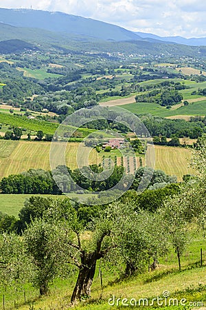 Summer landscape in Umbria (Italy) Stock Photo
