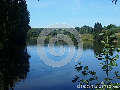 Summer landscape. View of the river, trees, river bank Stock Photo