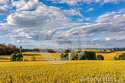 Summer landscape Vysocina Czech Republic Stock Photo