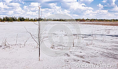 Summer Landscape With White Sand Stock Photo