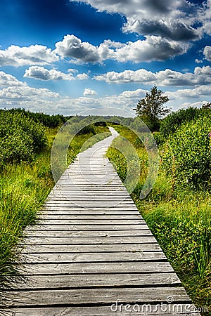 Summer landscape with wooden walkway Stock Photo