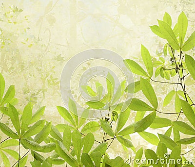 Summer Leaves Digital Painting Background Stock Photo