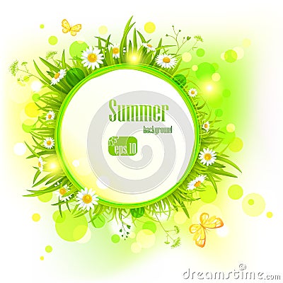 Summer light background with daisies Vector Illustration