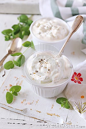Summer light salad: Greek yoghurt, garlic, mint and cucumber Stock Photo