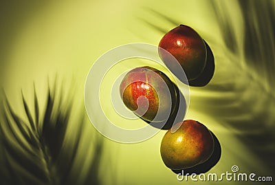 Summer mango fruits top view. Contemporary still life, lime green background, hard light and shadow pattern Stock Photo