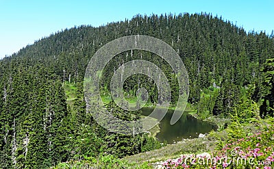 Summer at Mazama Lake Stock Photo