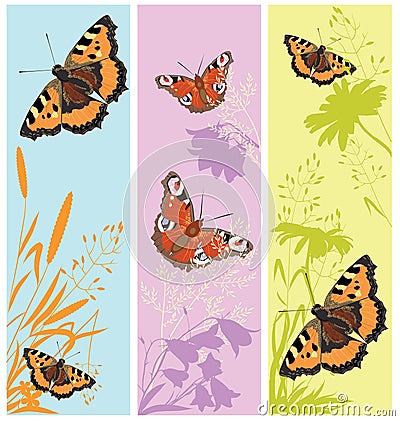 Summer meadow Vector Illustration