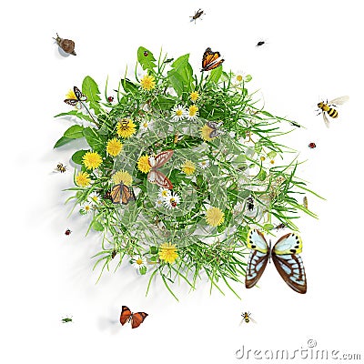 Summer meadow with flowers and various insects, isolated on white background. 3D rendering. Stock Photo