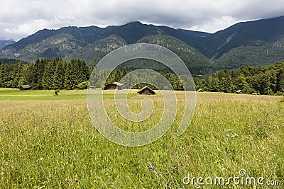 Summer Meadow In Grainau, Germany Stock Photo