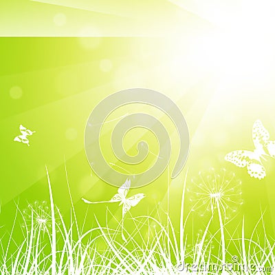 Summer Meadow Vector Illustration