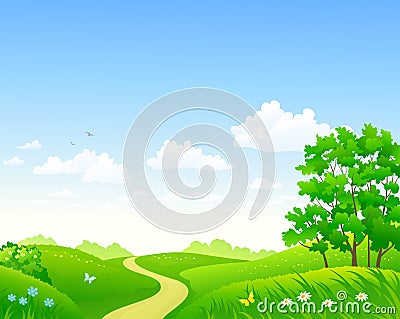 Summer meadow and sky background Vector Illustration