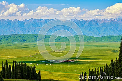 The summer meadows in the high mountain meadow of Nalati grassland Stock Photo