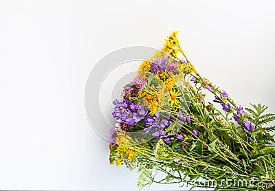 Summer medical herbs bunch. Bouquet of tansy and thorny burdock wild flowers Stock Photo