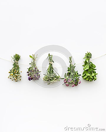 Summer medical herbs bunches Stock Photo