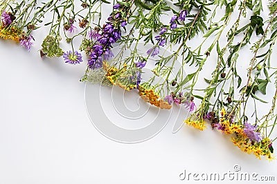 Summer medical herbs. Bouquet of tansy and thorny burdock wild flowers Stock Photo