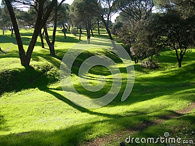 Summer morning soft shadows in park Stock Photo