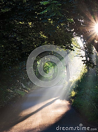 Summer morning sun rays on a road Stock Photo