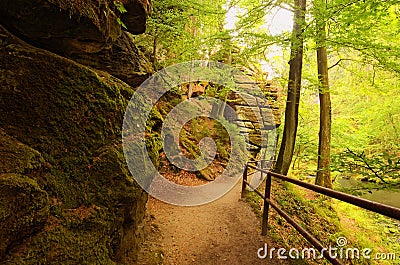Summer morning view. Narrow and winding hiking trail near flowing Kamenice river in green forest Stock Photo