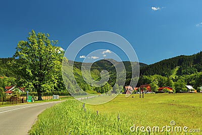 Summer mountain landscape Stock Photo