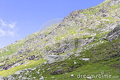 Summer mountain landscape Stock Photo