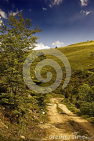 Summer mountain landscape with tree, green grass, road and clouds Stock Photo