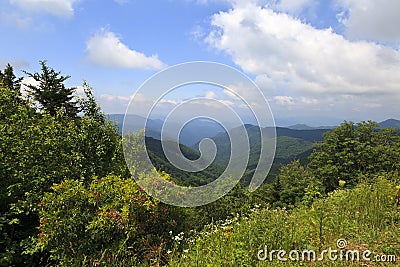 Summer in the Mountains Stock Photo