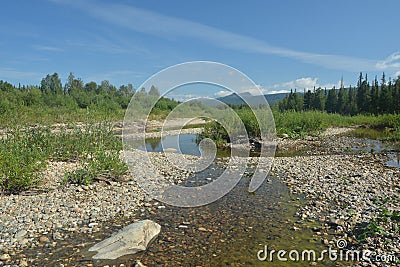 Summer in the national Park Yugyd VA in the Northern Urals. Stock Photo