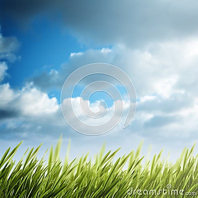 Summer natural backgrounds Stock Photo