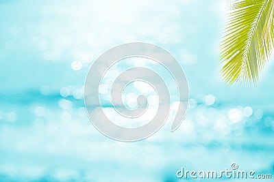 Summer nature blur green paim leaf on tropical beach with blue bokeh sunset light background.Copy space for text about vacation Stock Photo