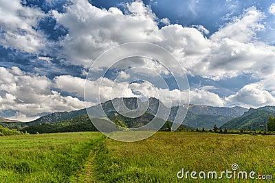 Summer nature landscape, Zakopane, Poland Stock Photo