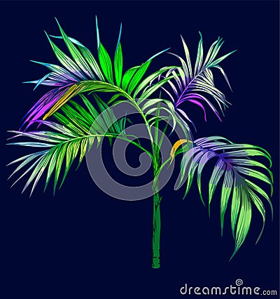 Summer Night. Palm tree in the night. Vector Illustration