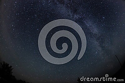 Summer nightly sky with stars and trees Stock Photo