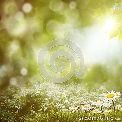 Summer noon backgrounds Stock Photo