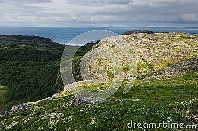 Summer norway landscape - granite high shore, green valley and blue quiet Arctic Ocean in sunny weather. Stock Photo