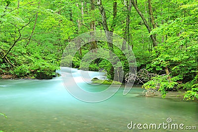 Summer of Oirase Stream Stock Photo