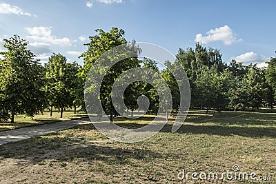 Summer outdoor park landscape green trees ble sky Stock Photo