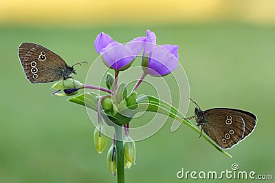 18. Summer Is Over... Stock Photo