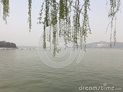 Summer Palace Lake Stock Photo