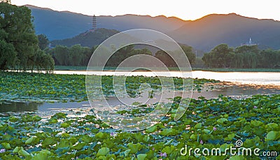 Summer palace sunset Stock Photo