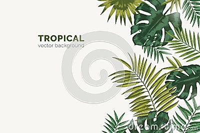 Summer paradise background with exotic palm tree branches and tropical Monstera leaves. Natural horizontal backdrop with Vector Illustration