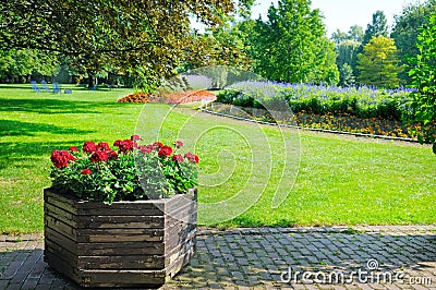 Summer park and beautiful flowerbeds Stock Photo