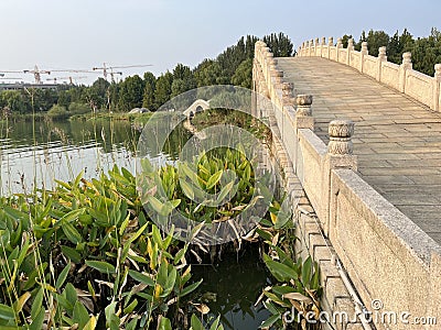 Summer Park. Exquisite stone arch bridge Stock Photo