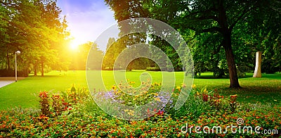 Summer park with flowerbeds Stock Photo