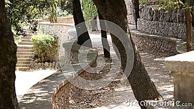 Summer park trees Stock Photo