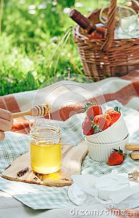 Summer picnic with light snacks - cheese, strawberry and honey Stock Photo