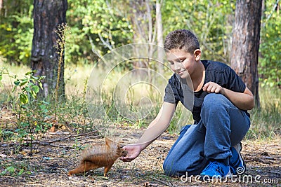 In the summer in the forest the boy feeds the squirrel with nuts Stock Photo